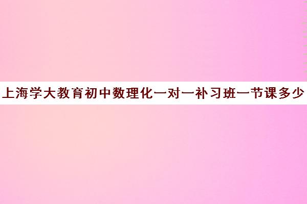 上海学大教育初中数理化一对一补习班一节课多少钱