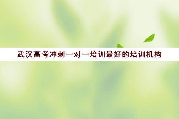 武汉高考冲刺一对一培训最好的培训机构(武汉比较好的辅导机构)