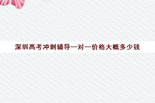 深圳高考冲刺辅导一对一价格大概多少钱(高考线上辅导机构有哪些比较好)