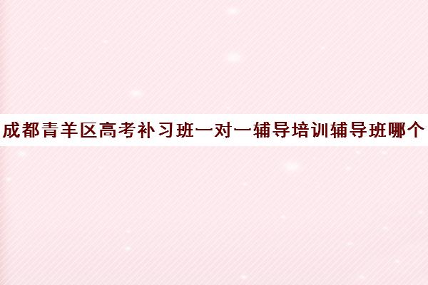 成都青羊区高考补习班一对一辅导培训辅导班哪个好