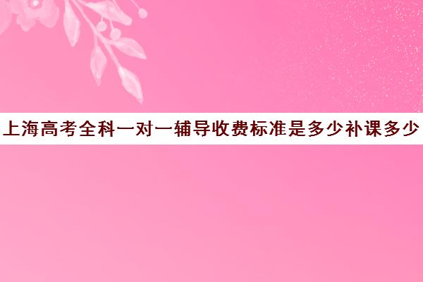 上海高考全科一对一辅导收费标准是多少补课多少钱一小时(一对一补课利弊)