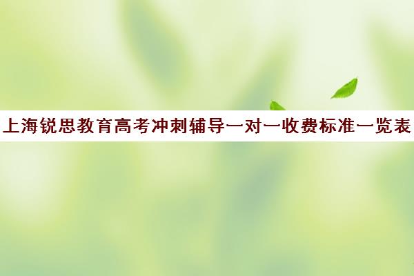 上海锐思教育高考冲刺辅导一对一收费标准一览表（锐思教育官网）