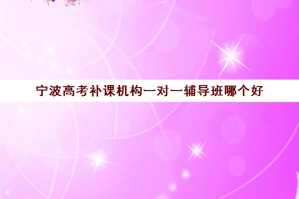 宁波高考补课机构一对一辅导班哪个好(有什么好的高中辅导班推荐啊)