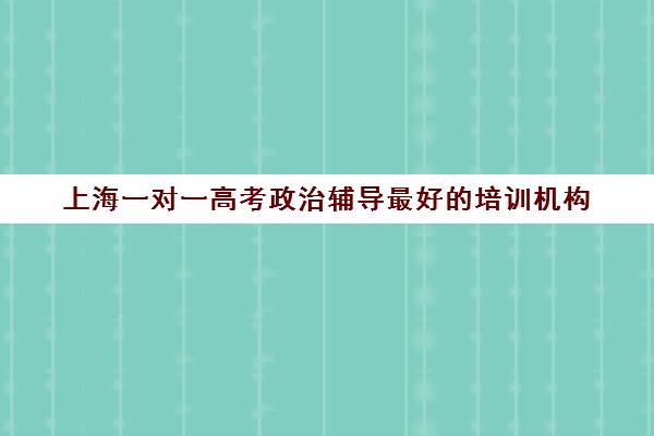 上海一对一高考政治辅导最好的培训机构(培训辅导机构简介)