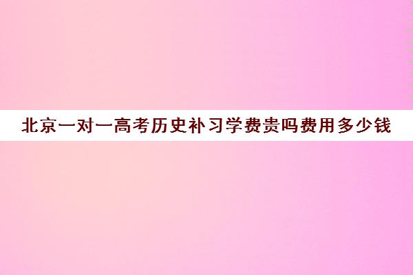 北京一对一高考历史补习学费贵吗费用多少钱