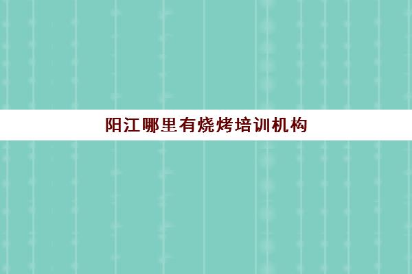 阳江哪里有烧烤培训机构(阳江烧烤场所环境哪个好)