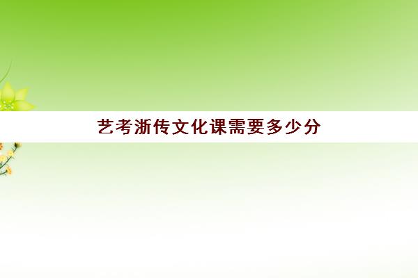 艺考浙传文化课需要多少分(艺考浙江传媒学院分数线)