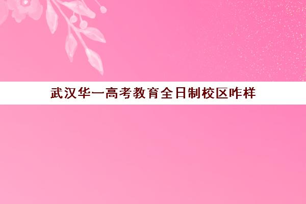 武汉华一高考教育全日制校区咋样(武汉高三全日制的培训机构有哪些)