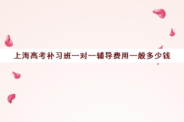 上海高考补习班一对一辅导费用一般多少钱