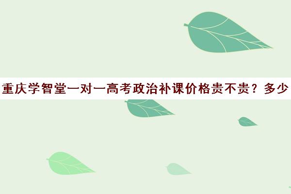 重庆学智堂一对一高考政治补课价格贵不贵？多少钱一年(高中补课一对一怎么收费)