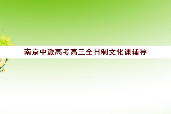 南京中派高考高三全日制文化课辅导(高考线上辅导机构有哪些比较好)