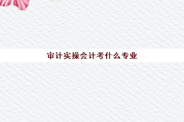 审计实操会计考什么专业(与会计相关的专业)