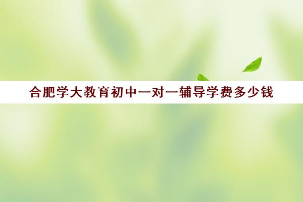 合肥学大教育初中一对一辅导学费多少钱(学大教育价格表)