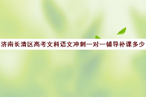 济南长清区高考文科语文冲刺一对一辅导补课多少钱一小时(济南补课机构排名)