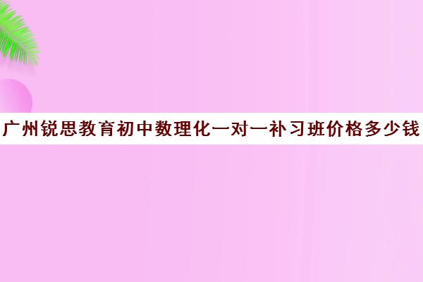 广州锐思教育初中数理化一对一补习班价格多少钱