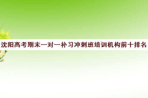 沈阳高考期末一对一补习冲刺班培训机构前十排名