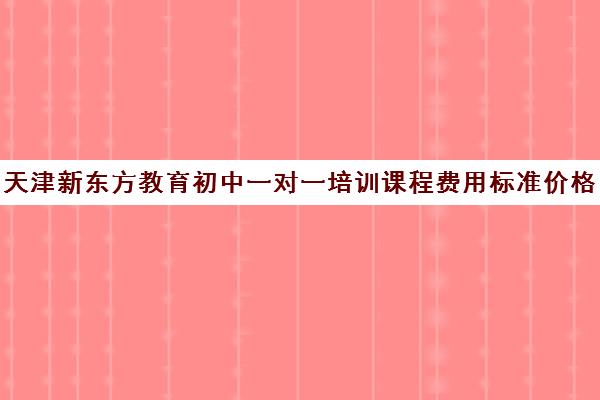 天津新东方教育初中一对一培训课程费用标准价格表(北京初中一对一辅导多少钱一小时)