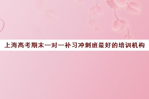 上海高考期末一对一补习冲刺班最好的培训机构