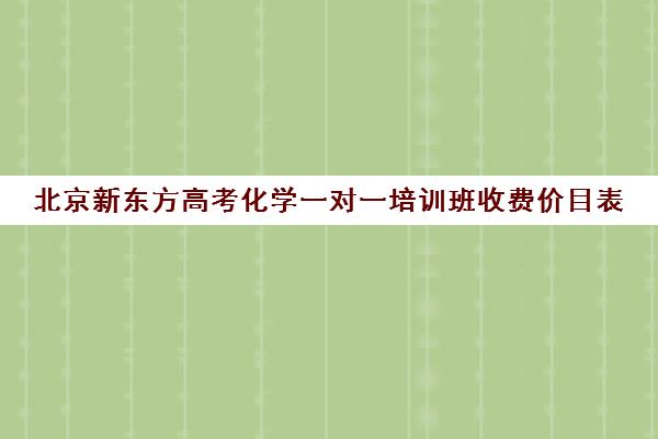 北京新东方高考化学一对一培训班收费价目表（培训机构收费价目表）