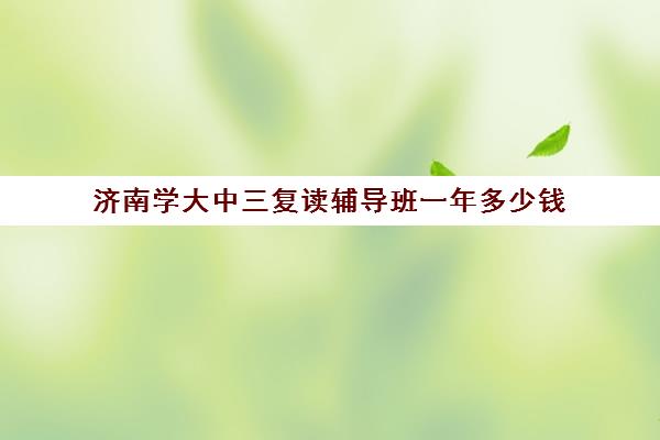 济南学大中三复读辅导班一年多少钱(山东艺术生文化课辅导班哪家强?)