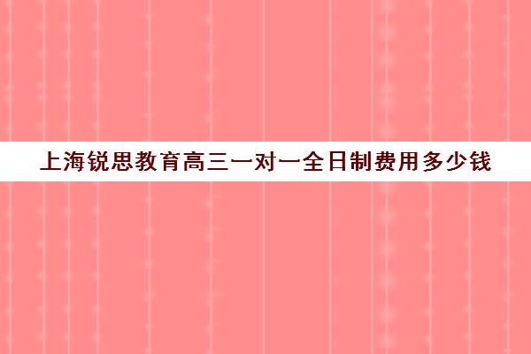 上海锐思教育高三一对一全日制费用多少钱（高三全日制补课机构多少钱）