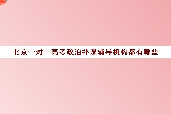 北京一对一高考政治补课辅导机构都有哪些(初中一对一辅导哪个好)