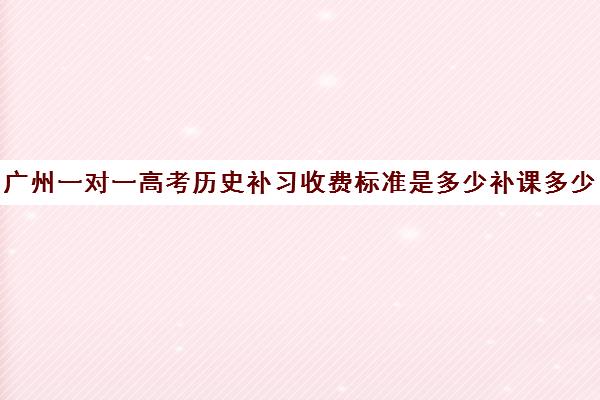 广州一对一高考历史补习收费标准是多少补课多少钱一小时