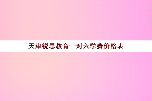 天津锐思教育一对六学费价格表(天津一对一辅导价格表)