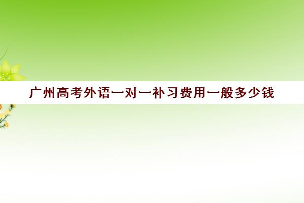 广州高考外语一对一补习费用一般多少钱