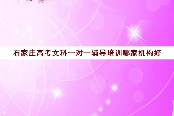 石家庄高考文科一对一辅导培训哪家机构好(石家庄英语一对一培训)