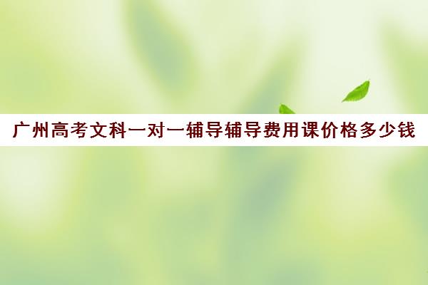 广州高考文科一对一辅导辅导费用课价格多少钱(新东方一对一收费价格表)