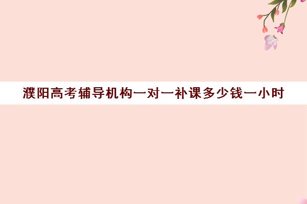 濮阳高考辅导机构一对一补课多少钱一小时(高考培训班一般多少钱)