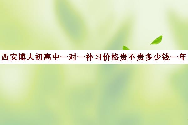 西安博大初高中一对一补习价格贵不贵多少钱一年