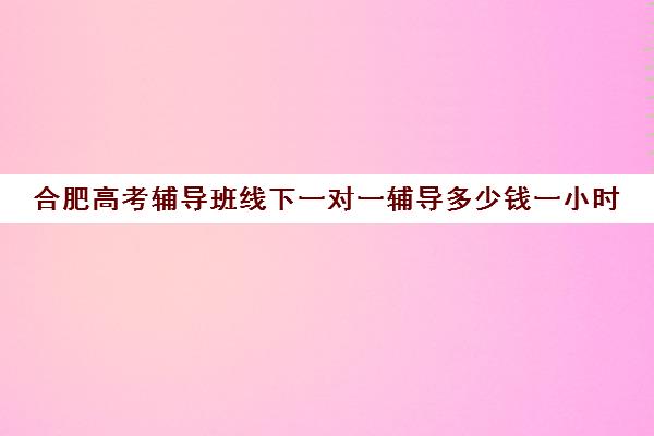 合肥高考辅导班线下一对一辅导多少钱一小时(合肥补课机构哪个好排名)