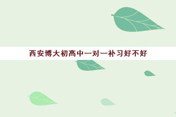 西安博大初高中一对一补习好不好