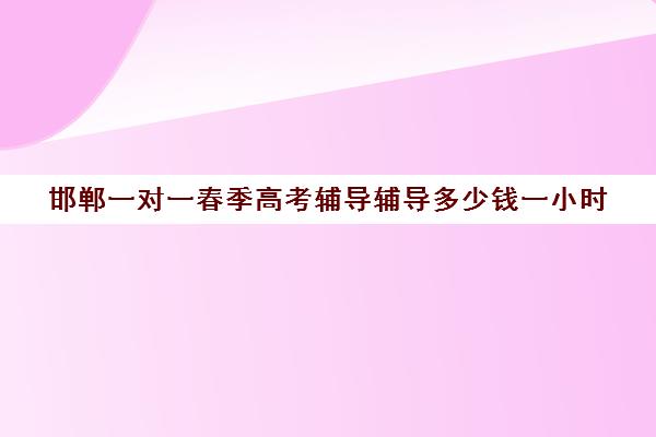 邯郸一对一春季高考辅导辅导多少钱一小时(一对一补课多久有效果)