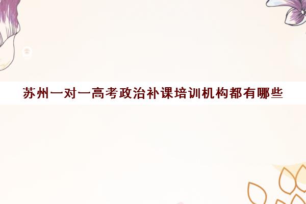 苏州一对一高考政治补课培训机构都有哪些(高中语文一对一补课有用吗)