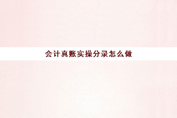 会计真账实操分录怎么做(会计基础实训心得体会)