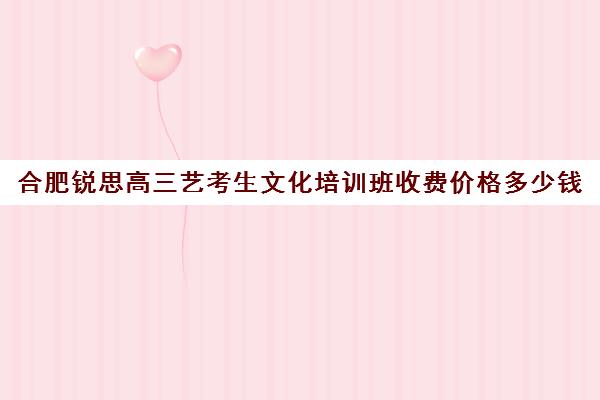 合肥锐思高三艺考生文化培训班收费价格多少钱(合肥简单学艺考文化课冲刺班电话)