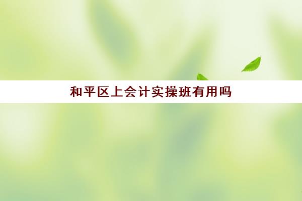 和平区上会计实操班有用吗(初级会计证自学还是报班)