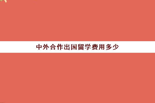 中外合作出国留学费用多少(本科中外合作办学学费一般多少)