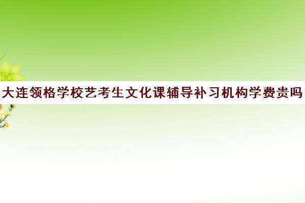 大连领格学校艺考生文化课辅导补习机构学费贵吗