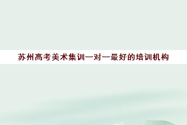 苏州高考美术集训一对一最好的培训机构(学美术一定要去集训吗)