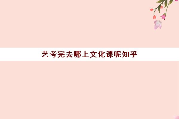 艺考完去哪上文化课呢知乎(艺考过后文化课在哪学)