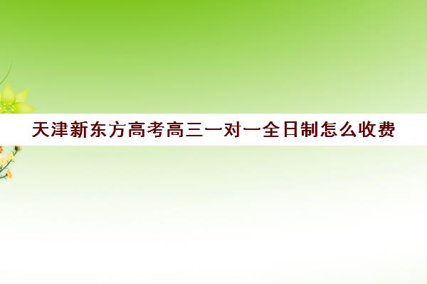 天津新东方高考高三一对一全日制怎么收费(天津新东方一对一收费价格表)