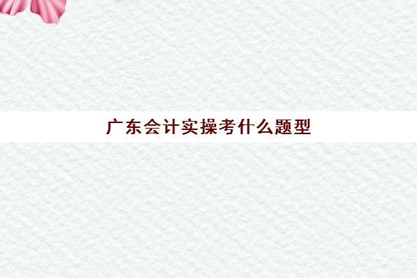 广东会计实操考什么题型(专插本的基础会计考什么内容)