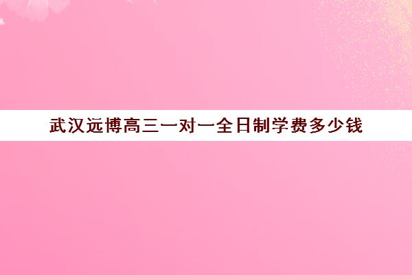 武汉远博高三一对一全日制学费多少钱(武汉博昱集训学费官网)