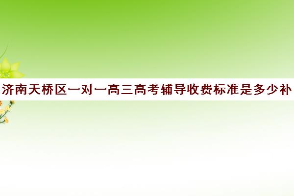 济南天桥区一对一高三高考辅导收费标准是多少补课多少钱一小时(高三辅导一对一多少钱