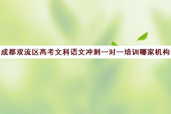 成都双流区高考文科语文冲刺一对一培训哪家机构好(成都高考补课机构排名)