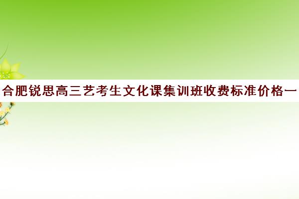 合肥锐思高三艺考生文化课集训班收费标准价格一览(合肥艺考培训机构哪家好)